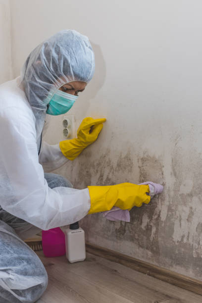 Best Residential Mold Inspection & Testing  in Fredonia, NY