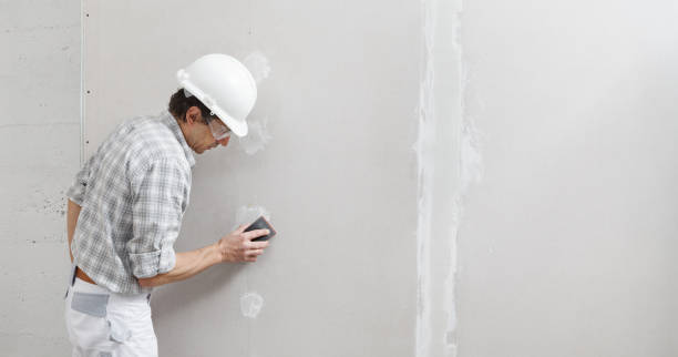 Best Air Quality Testing for Mold Spores  in Fredonia, NY
