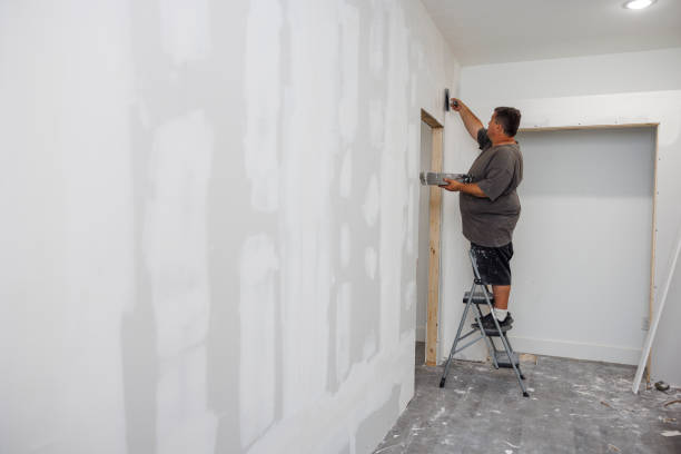 Mold Odor Removal Services in Fredonia, NY