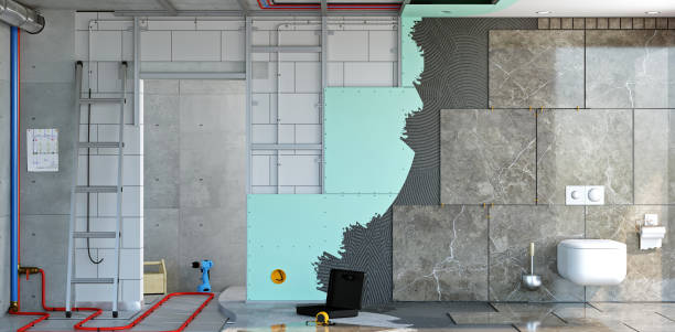 Best Mold Damage Restoration  in Fredonia, NY