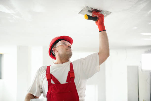 Best Mold Documentation for Insurance Claims  in Fredonia, NY