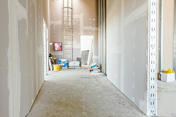 Best Biohazard Mold Removal  in Fredonia, NY