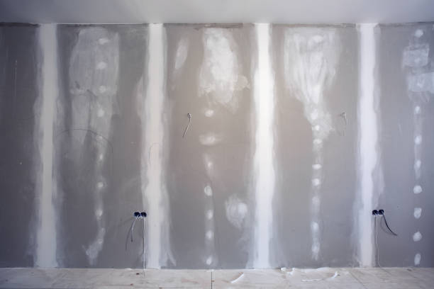 Trusted Fredonia, NY Mold Removal Experts
